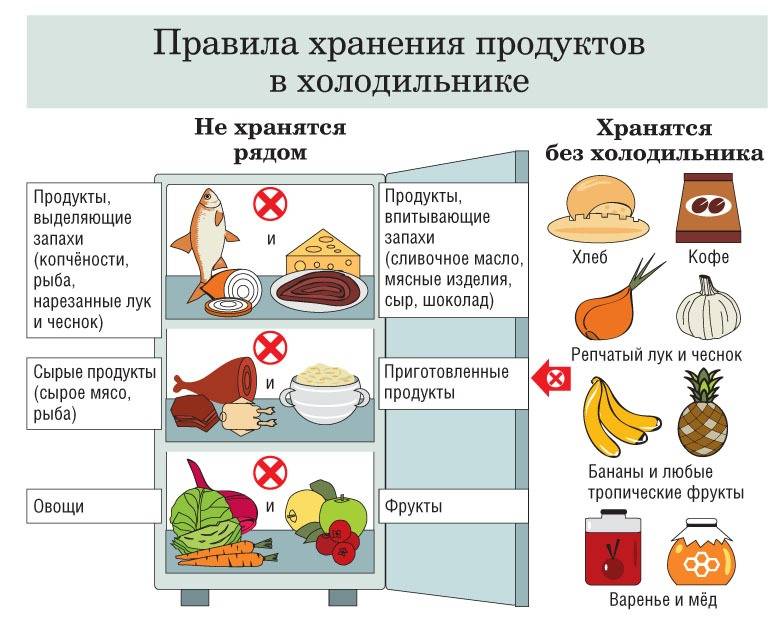 Как правильно хранить продукты в холодильнике? как хранить нельзя?