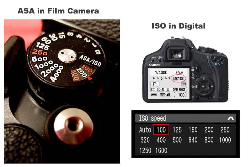 Iso в фотоаппарате что это такое простыми словами с примерами