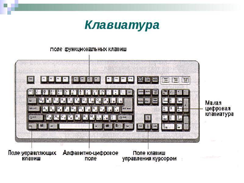 Клавиатура компьютера и как выбрать её [обзор]