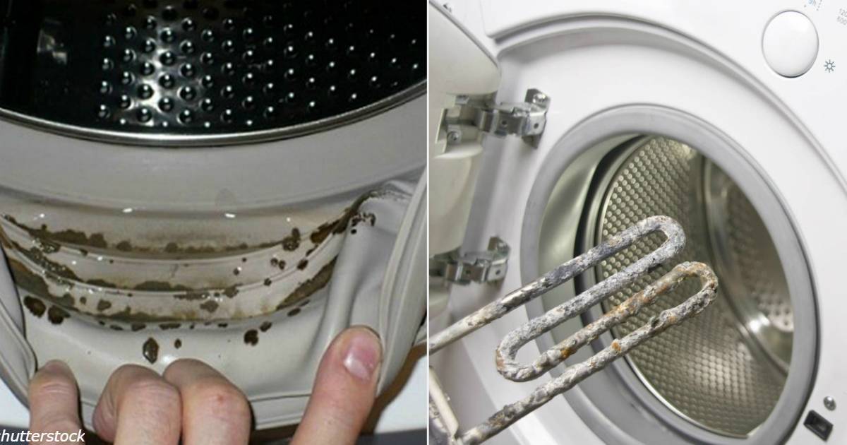 Лучшее средство для очистки стиральной машины