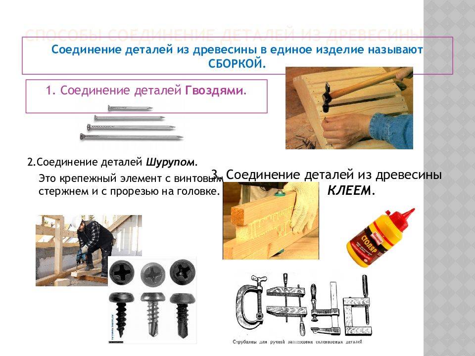 2 материалы и методы