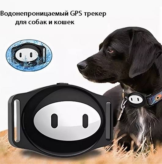 Как выбрать ошейник c gps навигатором для собак | жизненые новости