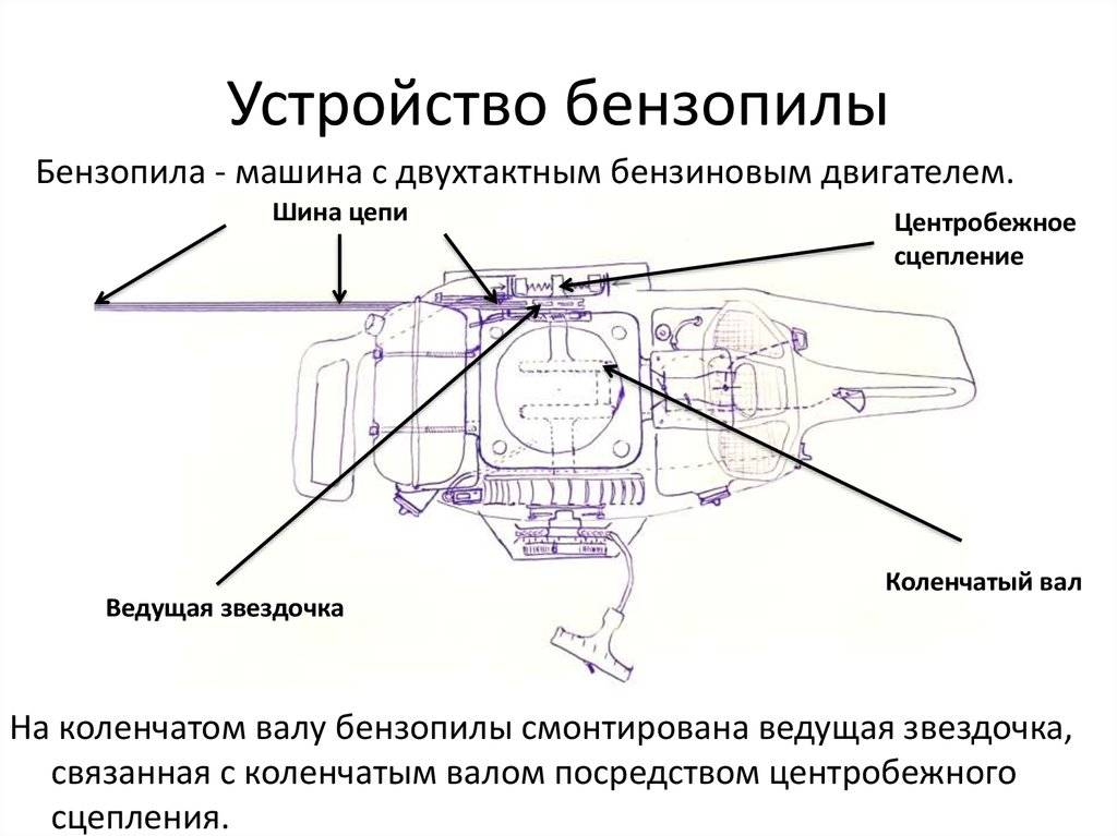 Устройство пил. Внутреннее устройство бензопилы. Бензопила устройство внутри. Общее устройство бензопилы. Предварительное устройство бензопилы.