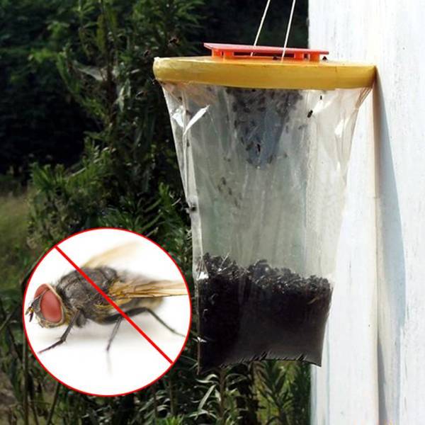 Как сделать ловушку для комаров из пластиковой бутылки? самодельные ловушки для борьбы с комарами
