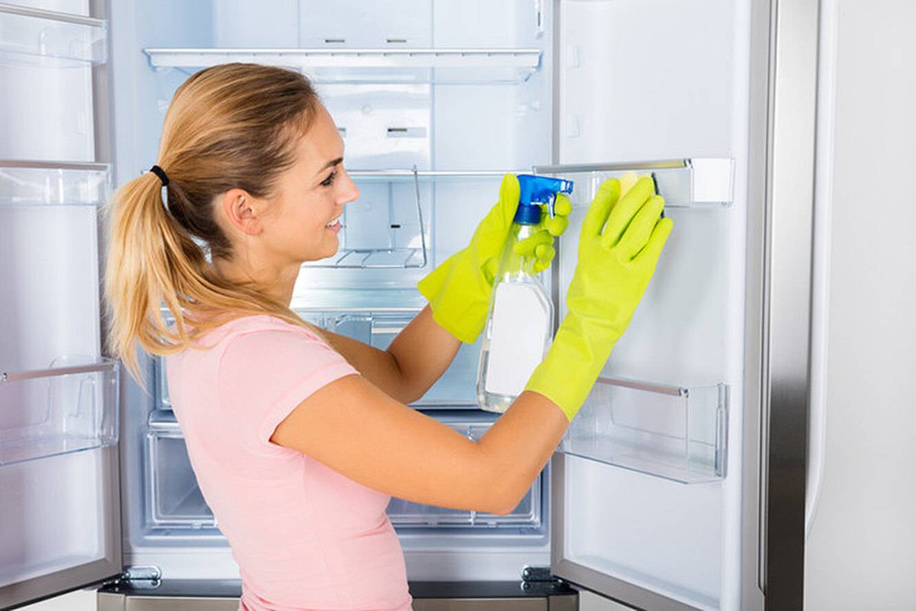Как избавиться от плесени в холодильнике и ее запаха