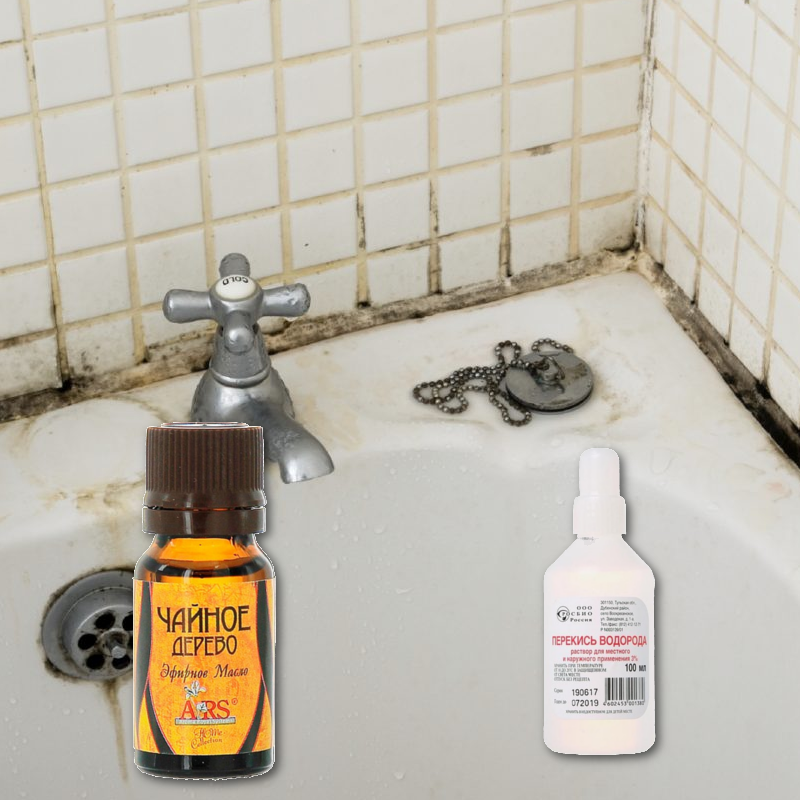 Черная плесень в ванной: как избавиться от грибка + эффективные средства для борьбы и предотвращения
