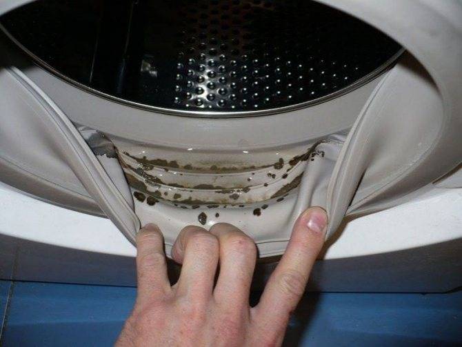 Как очистить резинку в стиральной машине: удаление грязи, плесени и налета