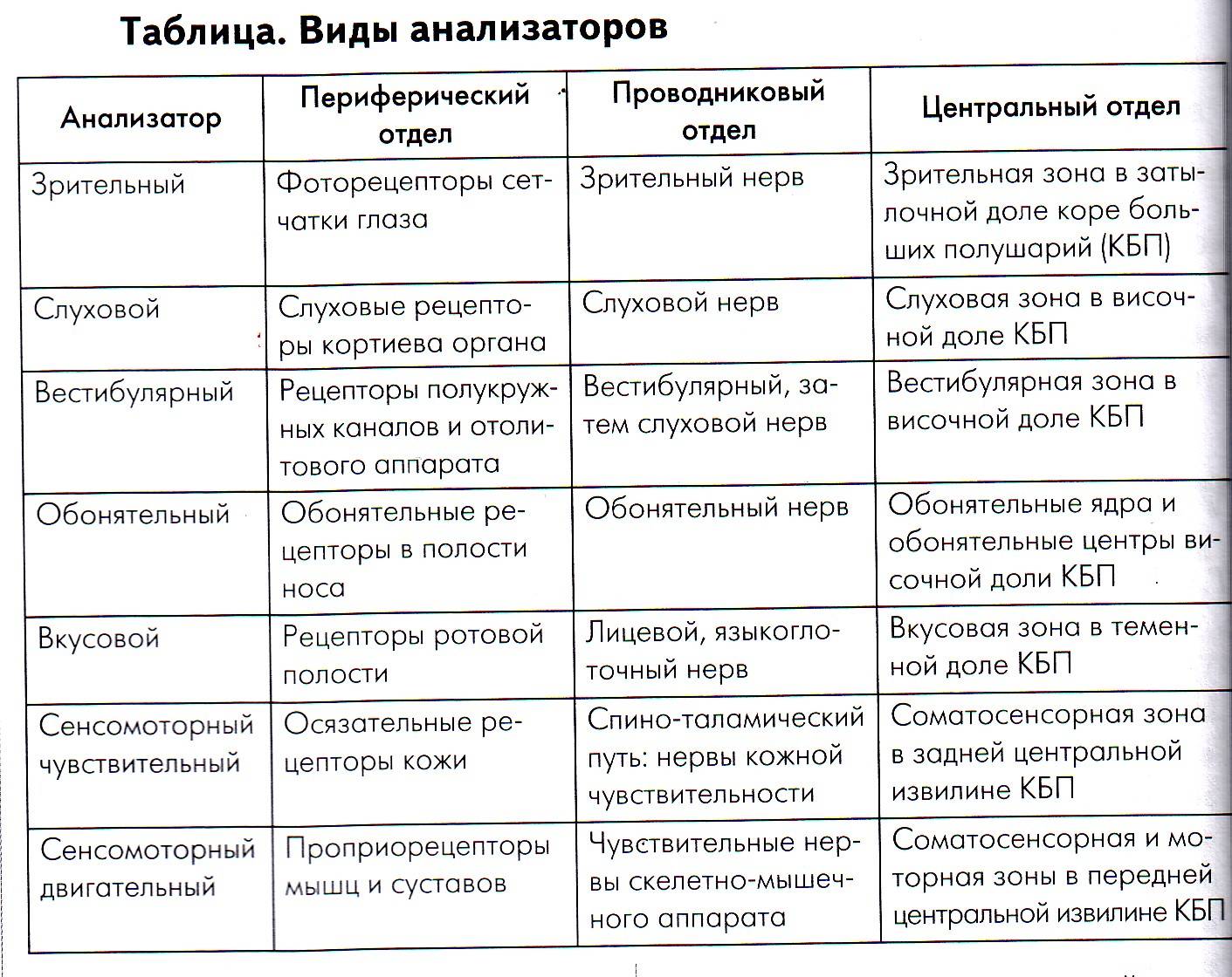 Классификация и характеристика органов чувств общий план их строения связи с мозгом