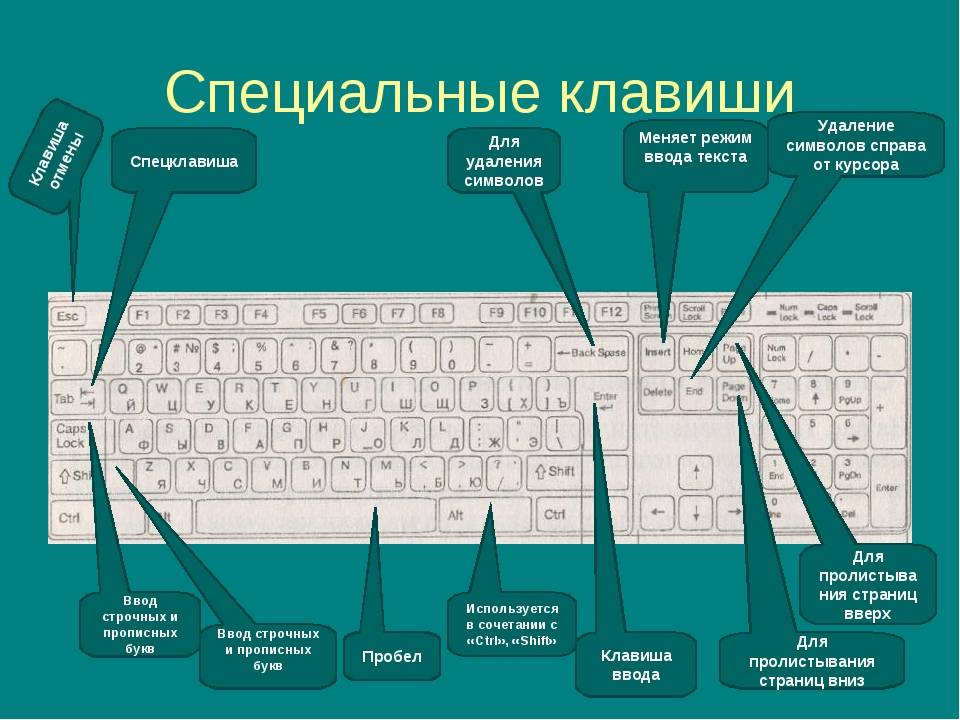 Использование цифрового блока клавиатуры какая клавиша. Ввод на клавиатуре компьютера. Название кнопок на клаве. Клавиши ввода на клавиатуре. Строение клавиатуры.