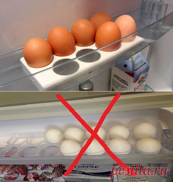 Сколько и как хранить яйца в холодильнике или при комнатной температуре
