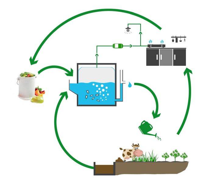 Биогаз своими руками: технология получения альтернативного топлива из биологических отходов