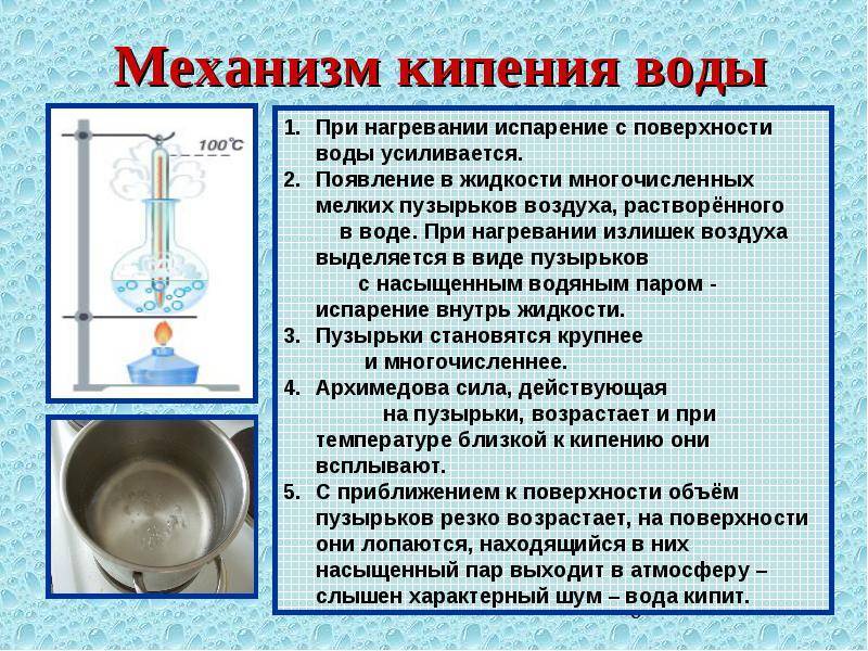 Как правильно закаливать организм? программа закаливания для начинающих