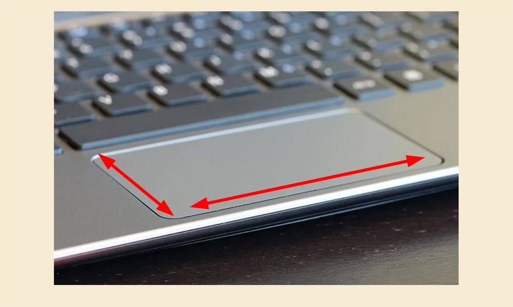Как выключить тачпад на ноутбуке asus, hp, lenovo, dell, acer с windows 7 или 10