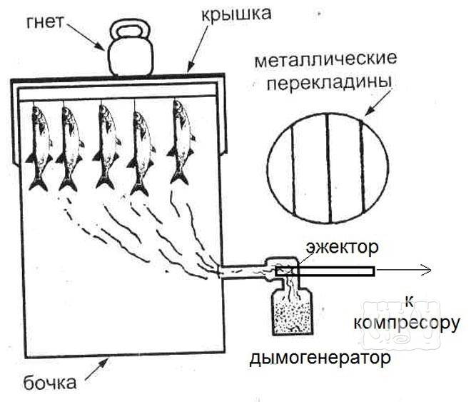 Коптильня холодного копчения своими руками - пошаговая инструкция с чертежами, размерами и фото