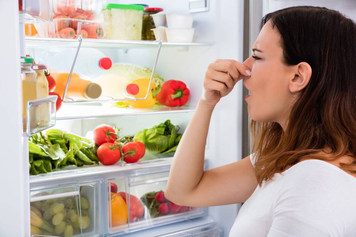 Как избавиться от запаха в холодильнике — домашние советы