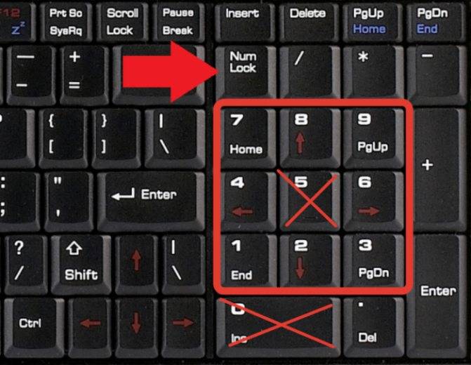 Не работает клавиатура на ноутбуке: причины и способы решения