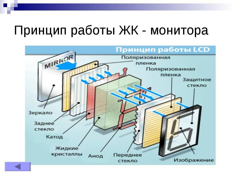 Из чего состоит монитор