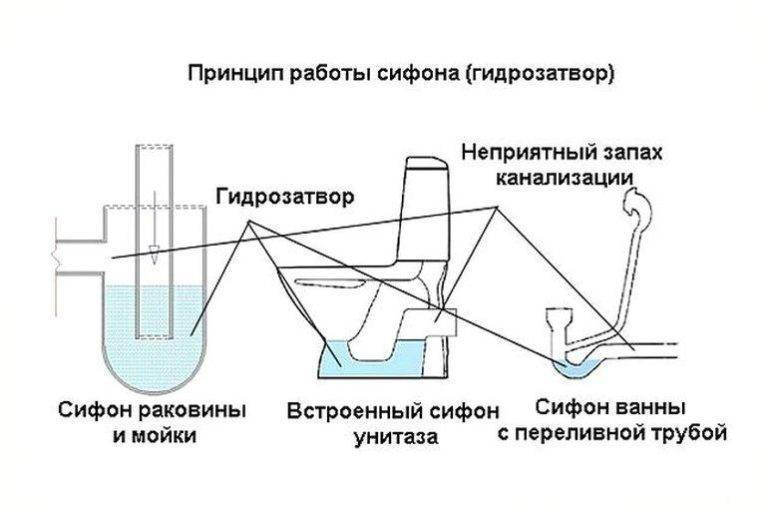 Запах канализации в квартире или в ванной: причины появления и способы устранения - строительство и ремонт