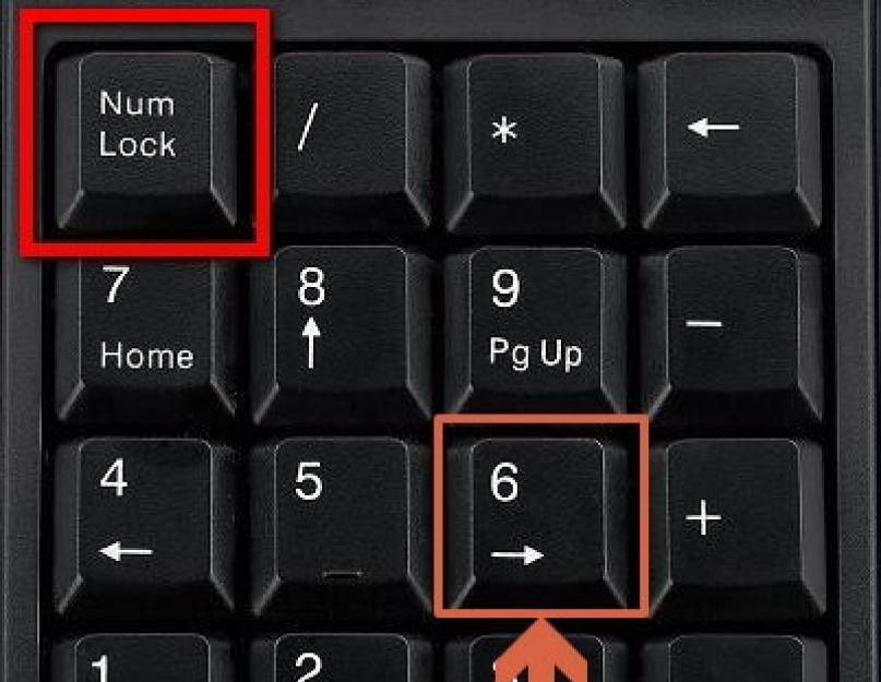 Что делать если клавиатура не печатает буквы на компьютере на виндовс