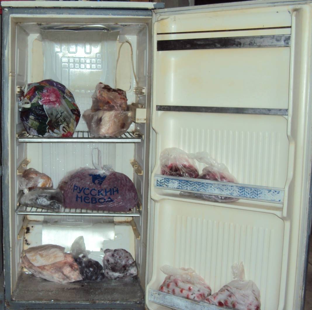 Что можно сделать из старого холодильника - топ самоделок - это интересно - шняги.нет
