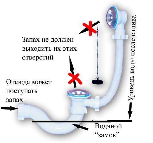 Запах канализации в ванной: причины + способы устранения