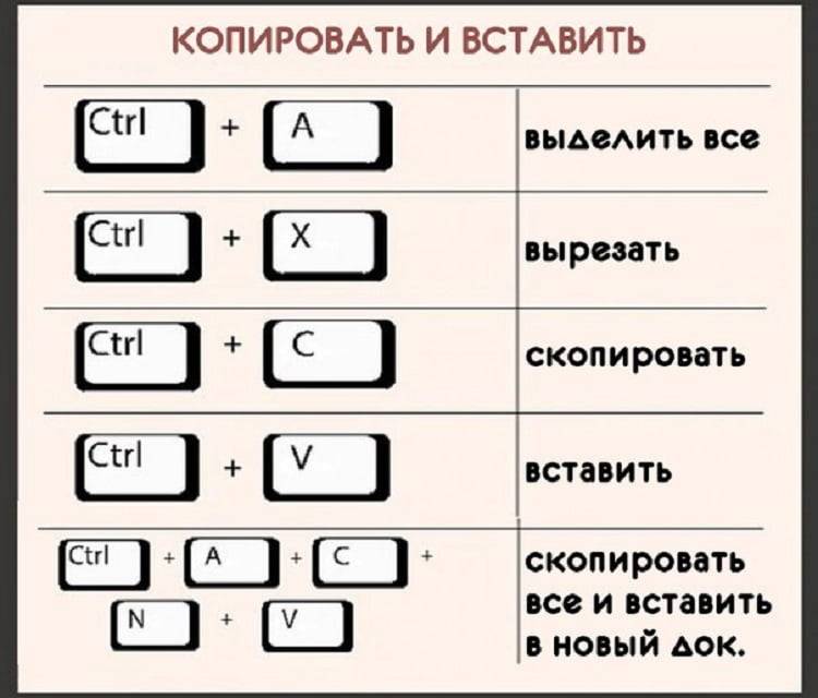 Как пометить несколько файлов для копирования. как выделять с помощью клавиатуры