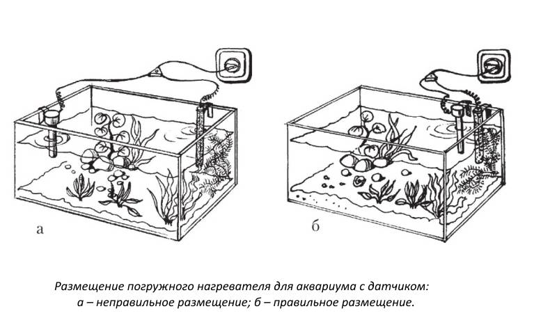 Нагреватель для аквариума: с терморегулятором, выбор