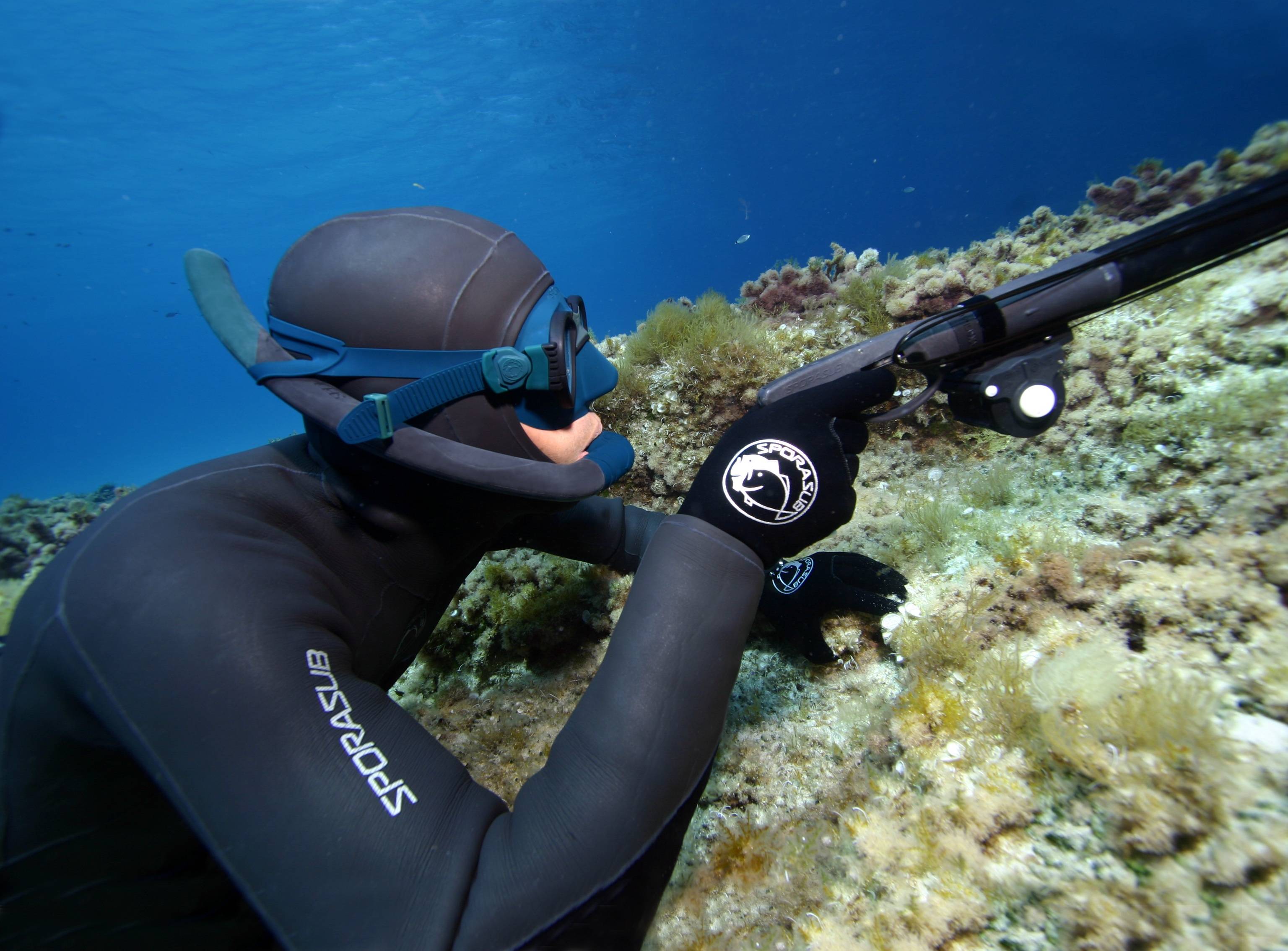 Лучшие камеры для подводной съемки на 2021 год