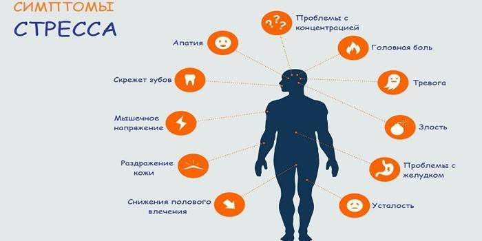 Влияние стресса на человеческий организм презентация