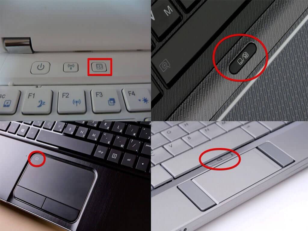 Почему не работает мышка на ноутбуке