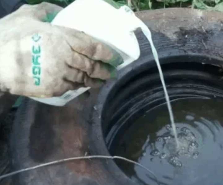 Очистка канализационных ям — способы чем почистить