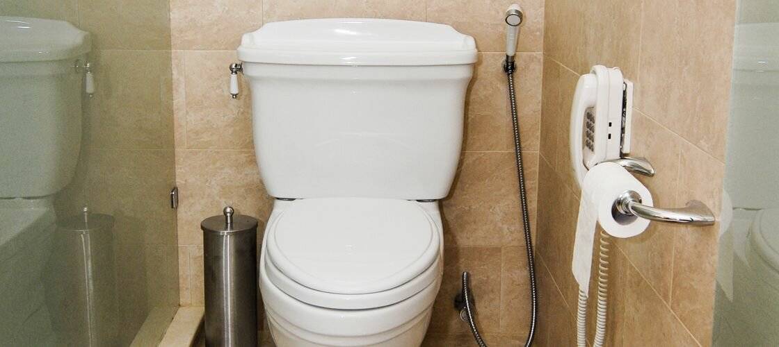 Унитаз с функцией биде: выбор туалета со встроенным биде, два в одном, с гигиеническим душем, напольный и навесной унитаз для подмывания, 2 в 1