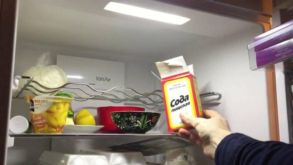 Как избавиться от запаха плесени в холодильнике быстро и навсегда