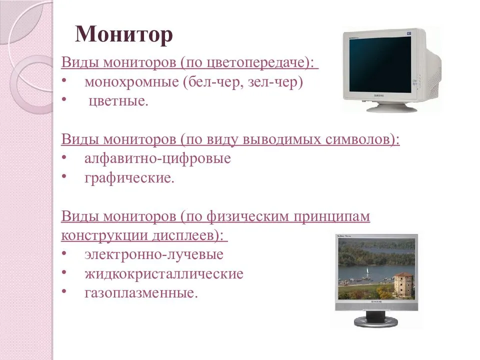 Графические изображения какого типа выводятся на экран монитора