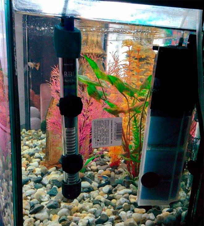 Нагреватель для аквариума (обогреватель с терморегулятором): как правильно выбрать, установить, какой лучше, сделать своими руками