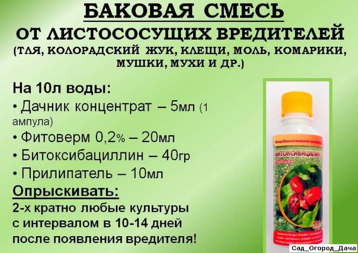 5 волшебных народных средств от насекомых-вредителей и болезней
