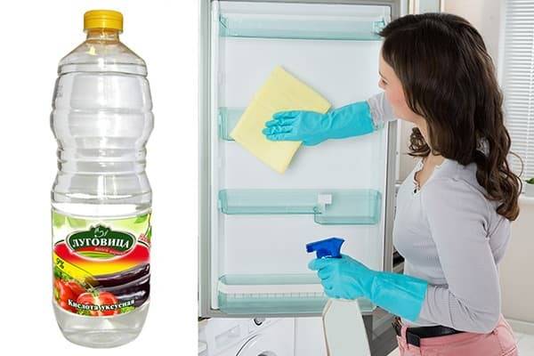 Как убрать запах плесени из холодильника: уборка и народные методы