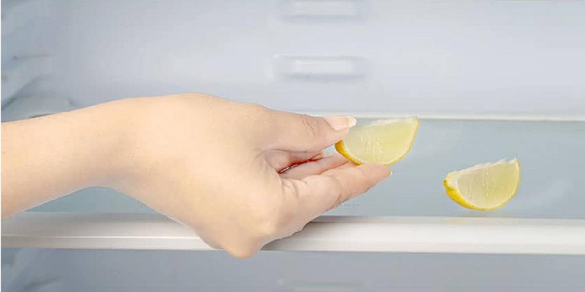 Удалить запах холодильника домашних. Избавиться от запаха в холодильнике. Для устранения запаха в холодильнике. Лимон от запаха в холодильнике. Устранить запах в холодильнике.