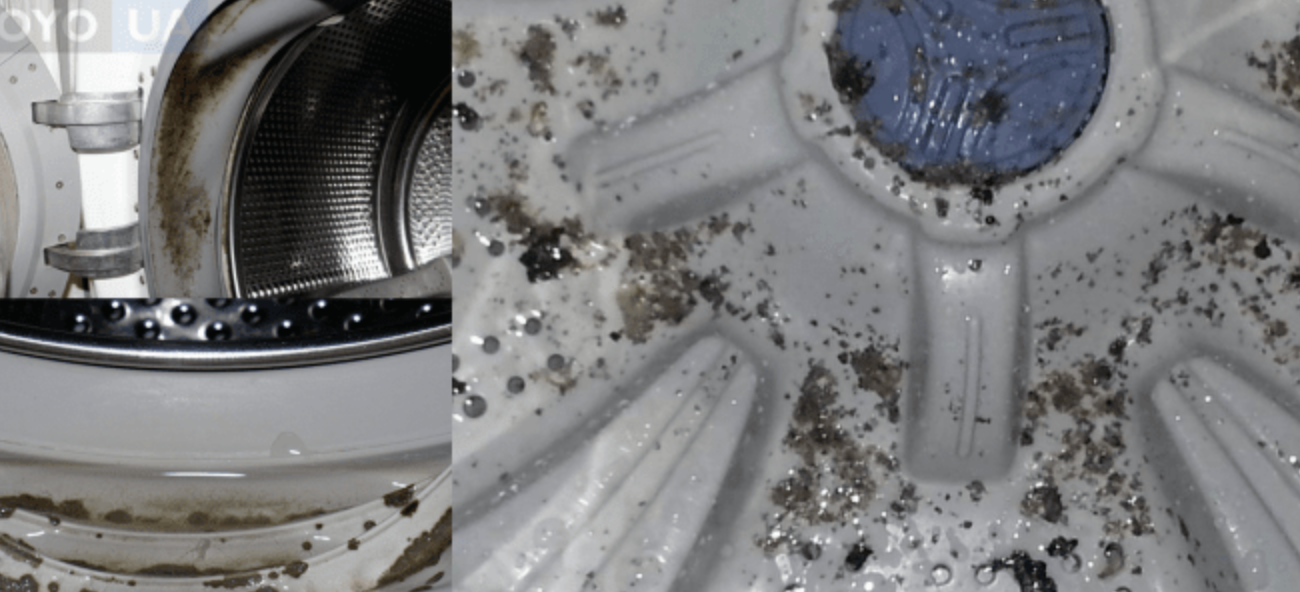 Как очистить стиральную машину от плесени (избавиться, почистить)?