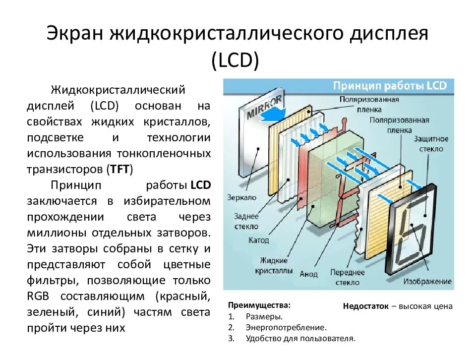 Экранные устройства. Принцип действия LCD мониторов. ЖК (LCD) - жидкокристаллические мониторы (Liquid Crystal display).. Принцип работы LCD монитора. Строение LCD жидкокристаллического монитора.