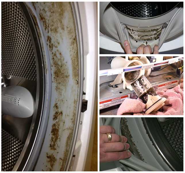 Средства для борьбы с плесенью в стиральной машине