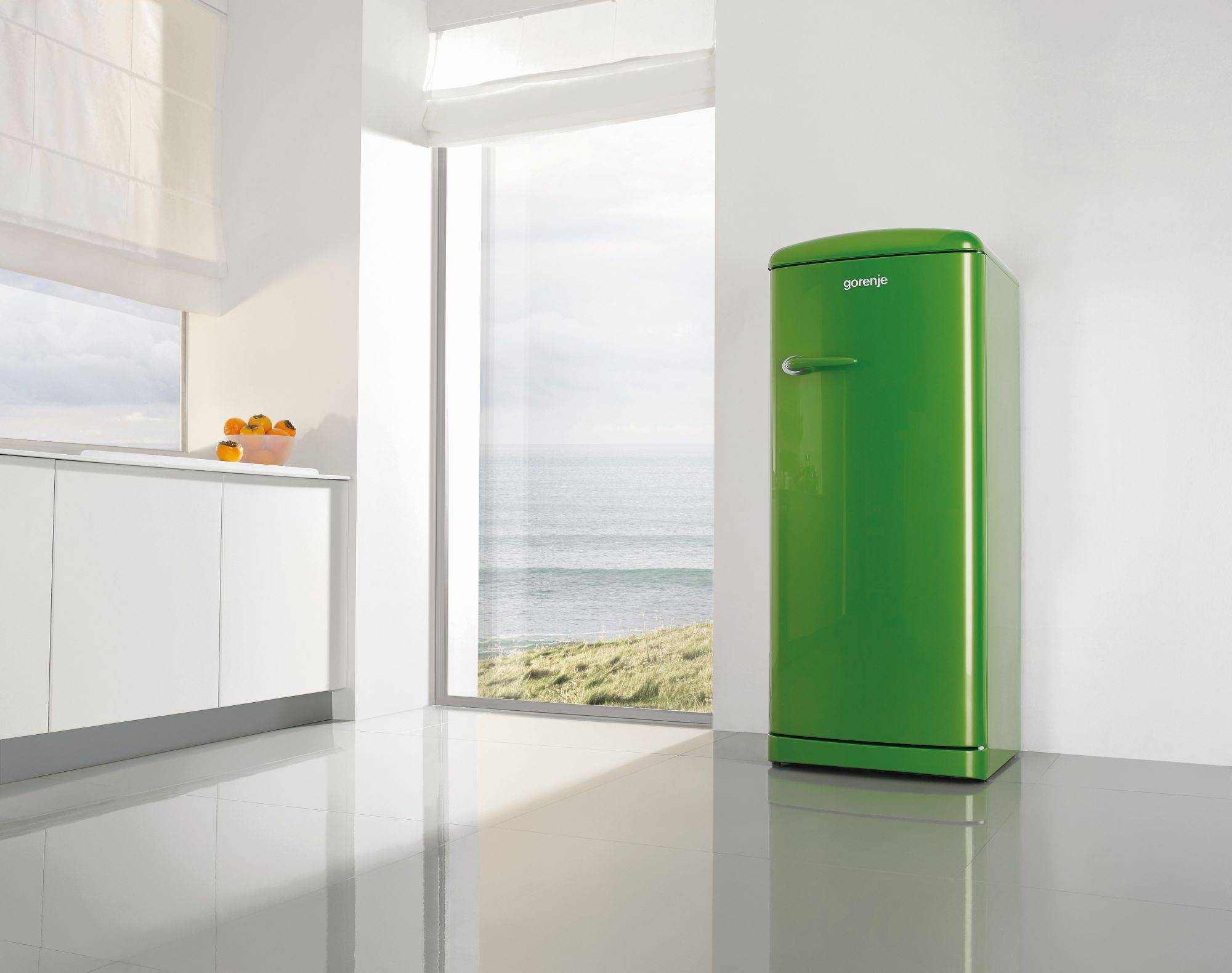 Холодильник gorenje: выбор, отзывы, обзор характеристик