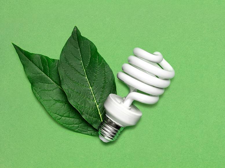 ♻ куда сдать энергосберегающие лампочки ▶ куда выбрасывать ▶ как утилизировать
