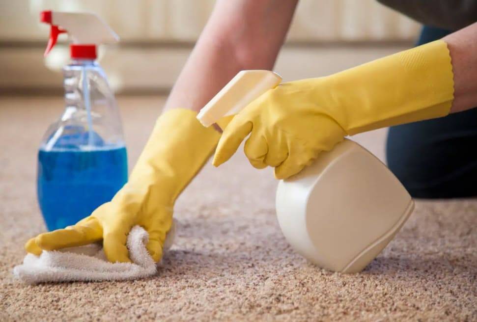Перчатка резиновая и другие способы избавиться от шерсти в доме: чистим мягкую мебель и ковры