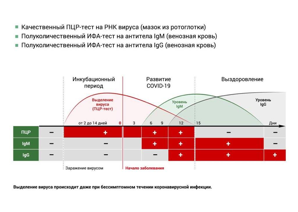 Какое наказание полагается за убийство животного и как привлечь убийцу к ответственности?