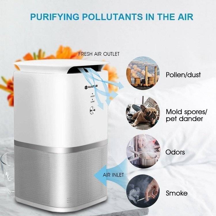 Какой очиститель воздуха выбрать для квартиры?