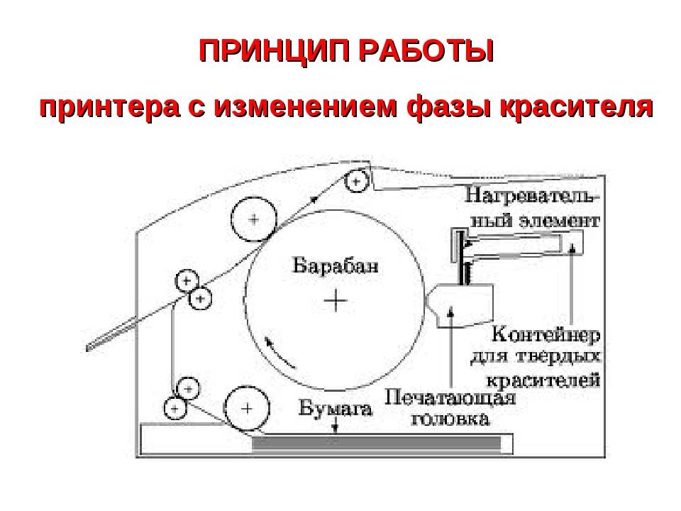 Принцип печати лазерного принтера | world-x