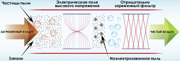 Избавляемся от домашней пыли правильно