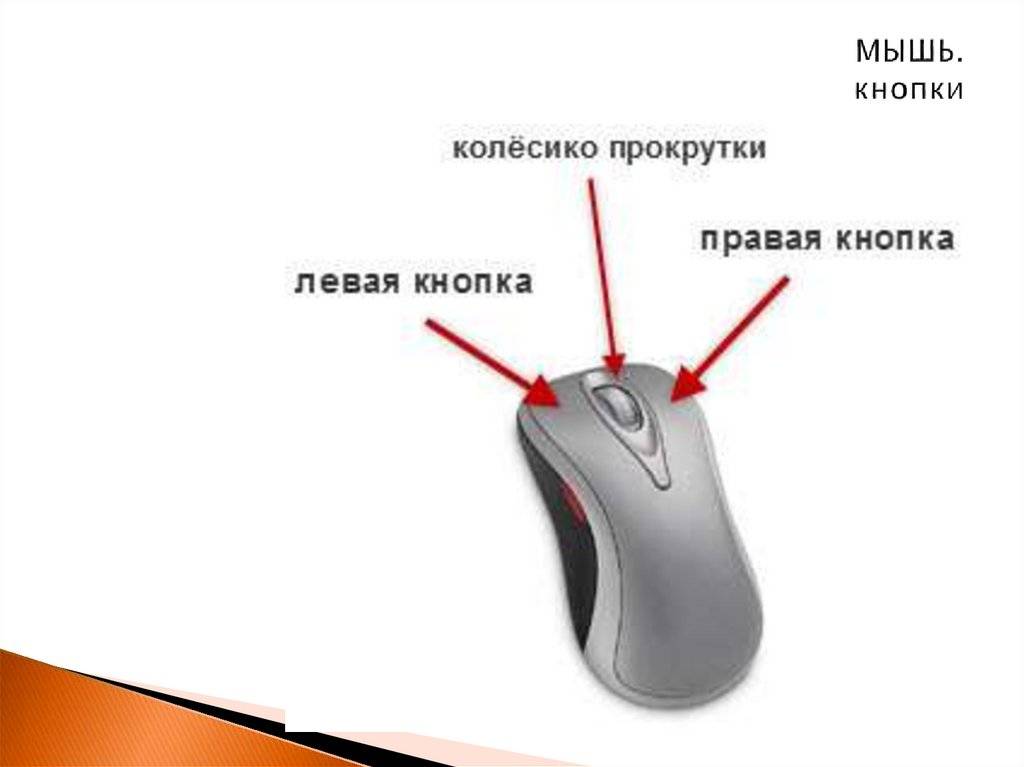 X-mouse button control: как запрограммировать дополнительные и переназначить основные кнопки мыши в среде windows | белые окошки