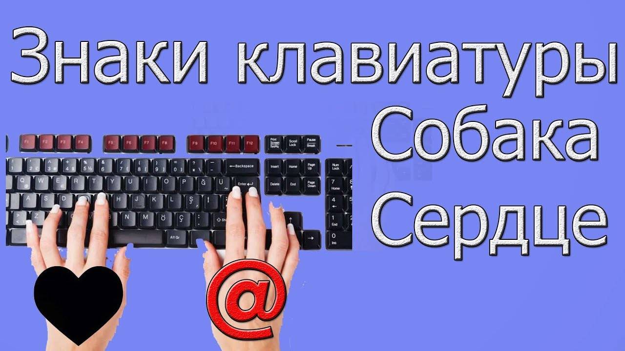 Как набрать собаку на клавиатуре компьютера фото и видео